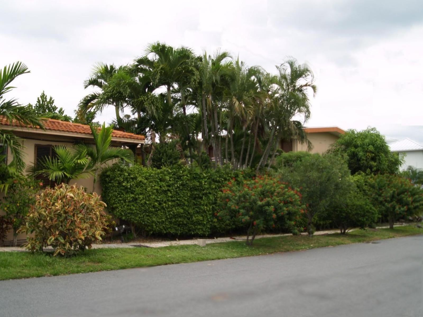 Parkview Motor Lodge West Palm Beach Exteriér fotografie
